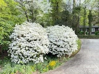 41 Balsam Shadows Drive - Photo 41