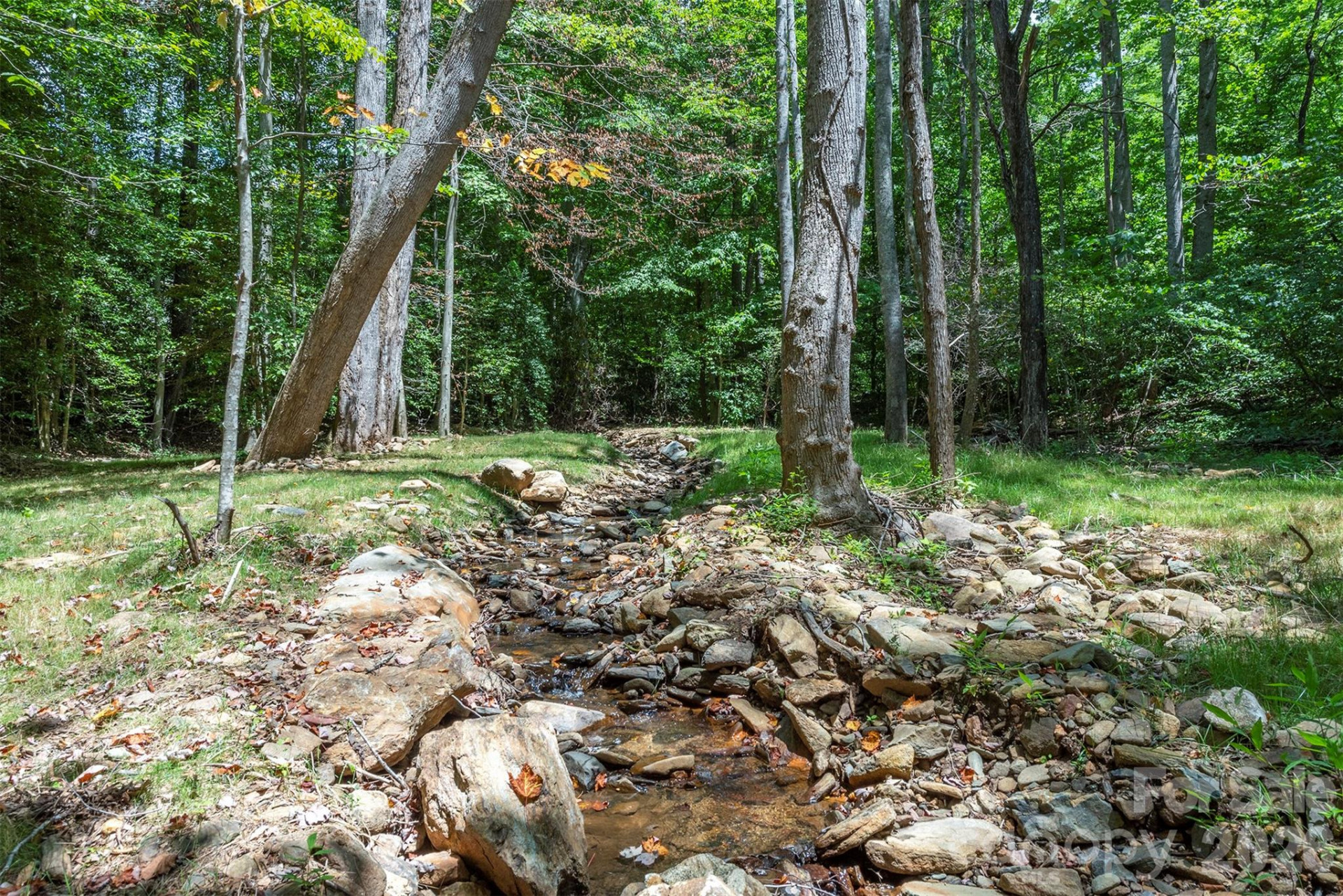 290 Patton Hill Road - Photo 4