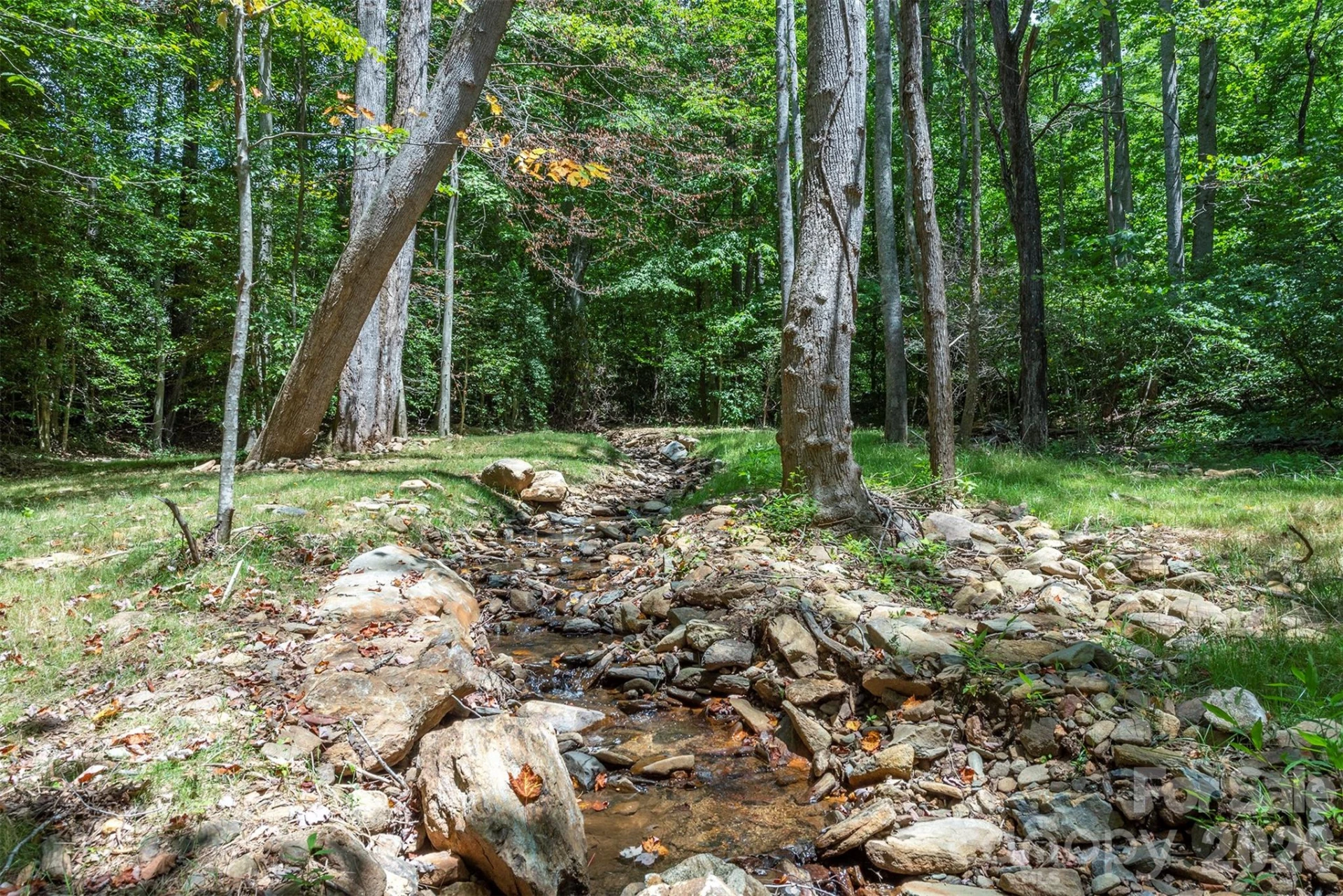 290 Patton Hill Road - Photo 4