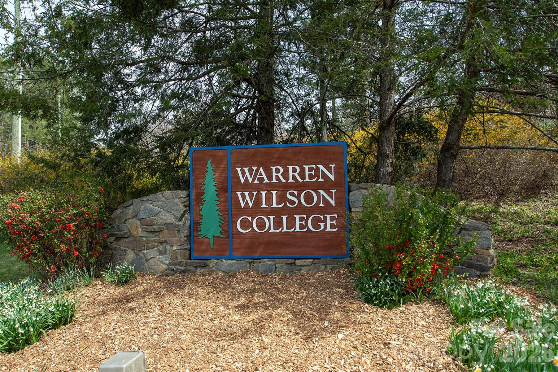 290 Patton Hill Road - Photo 40