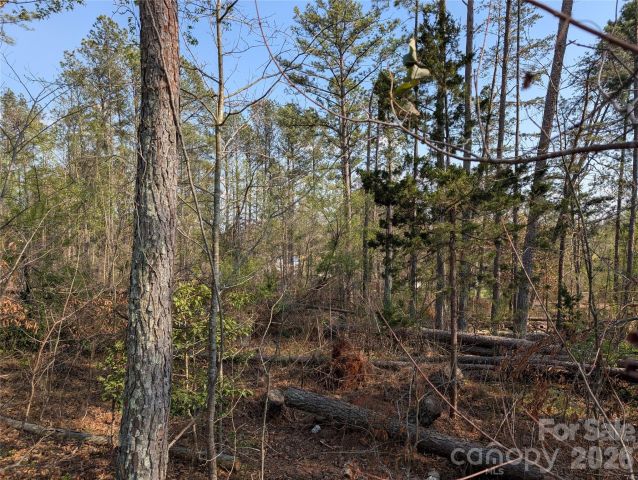 TBD Whitesides Road, Forest City, NC, 28043