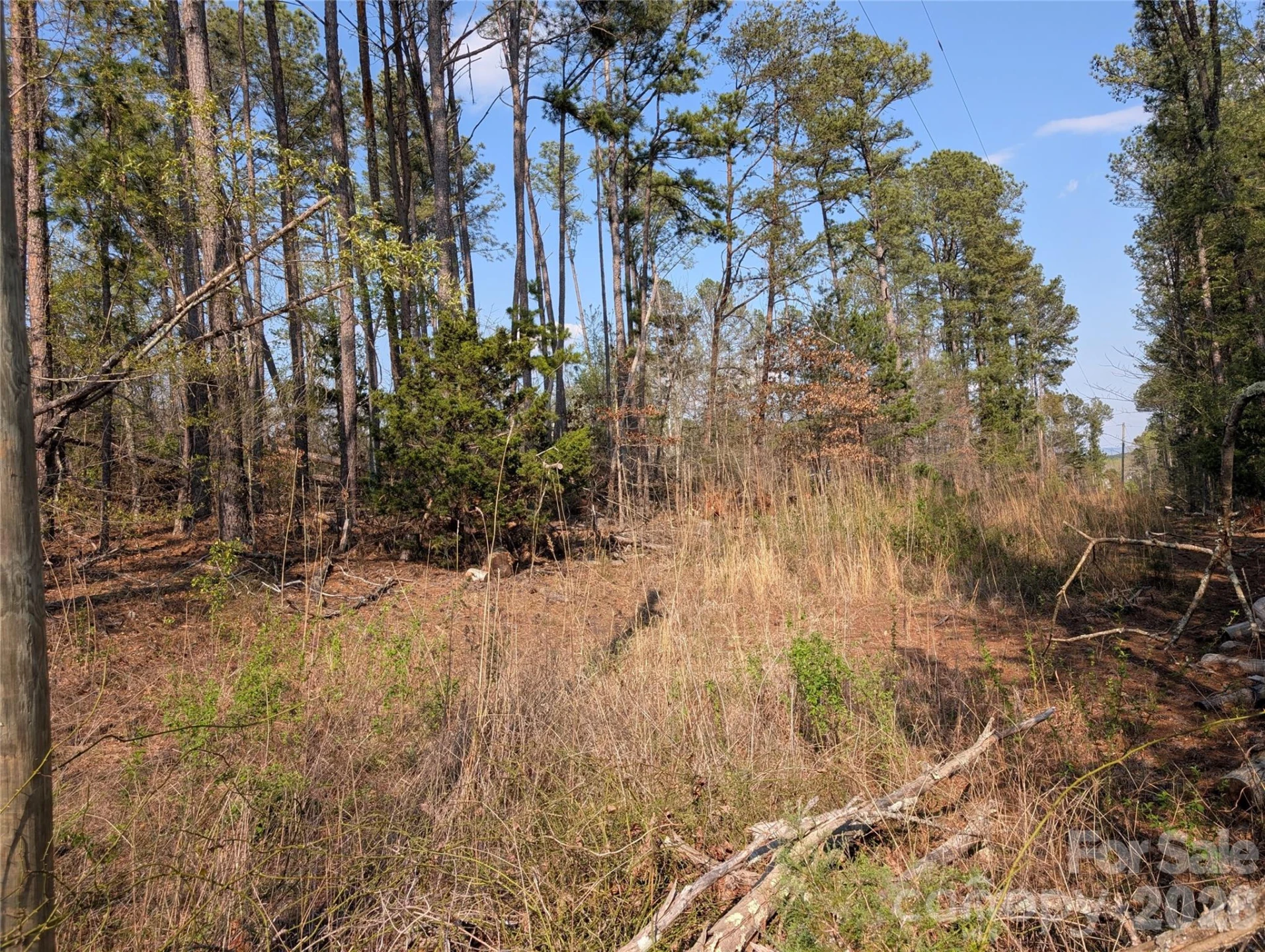 TBD Whitesides Road - Photo 2