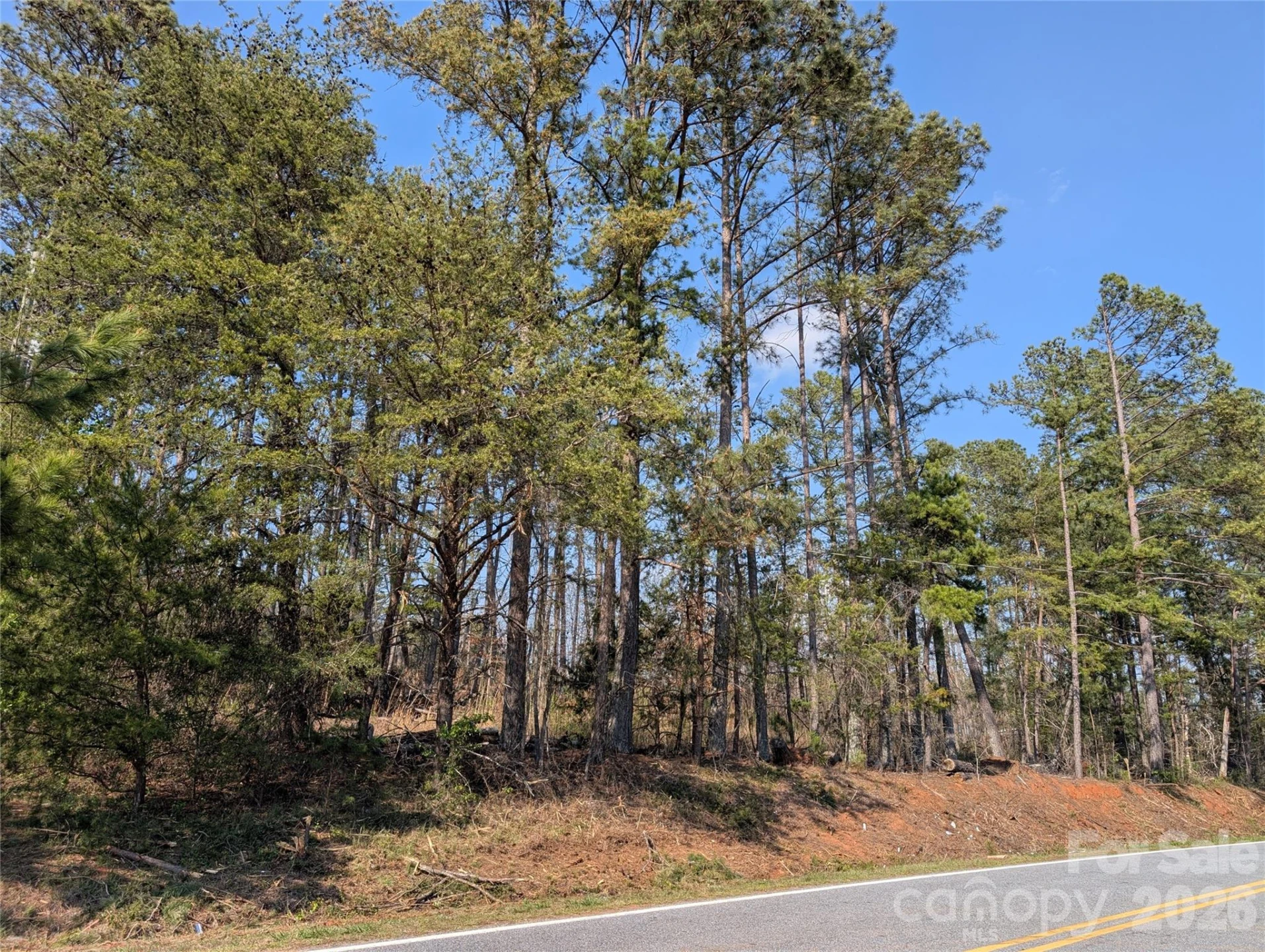 TBD Whitesides Road - Photo 3