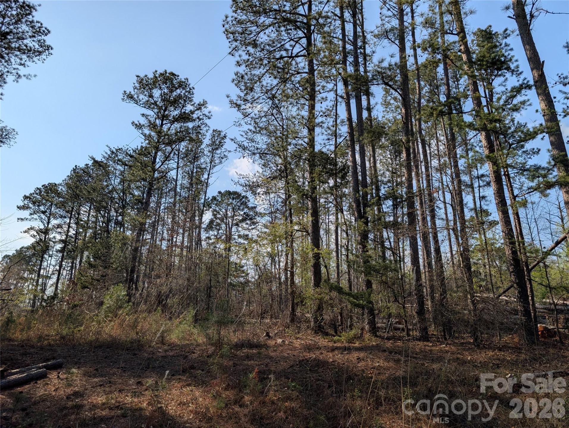 TBD Whitesides Road - Photo 4