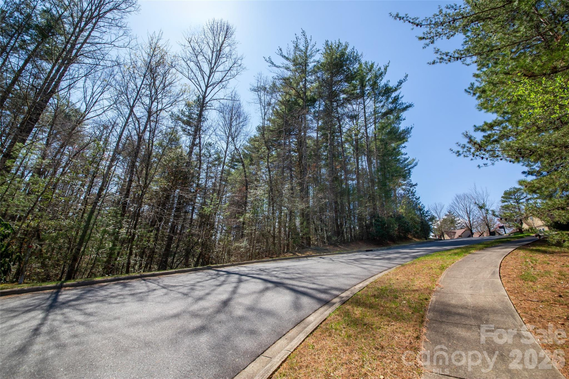 000 Camptown Road - Photo 4