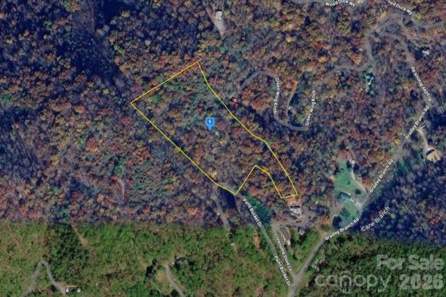 165 Paint Bucket Drive, Whittier, NC, 28789