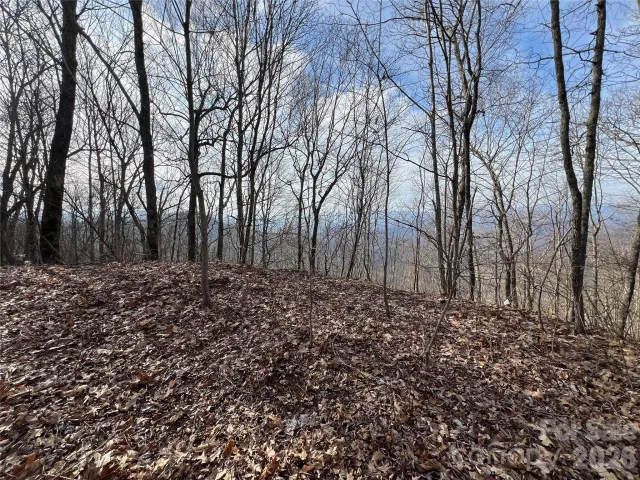 Lot 24/26 Butterfly Path, Bryson City, NC, 28713