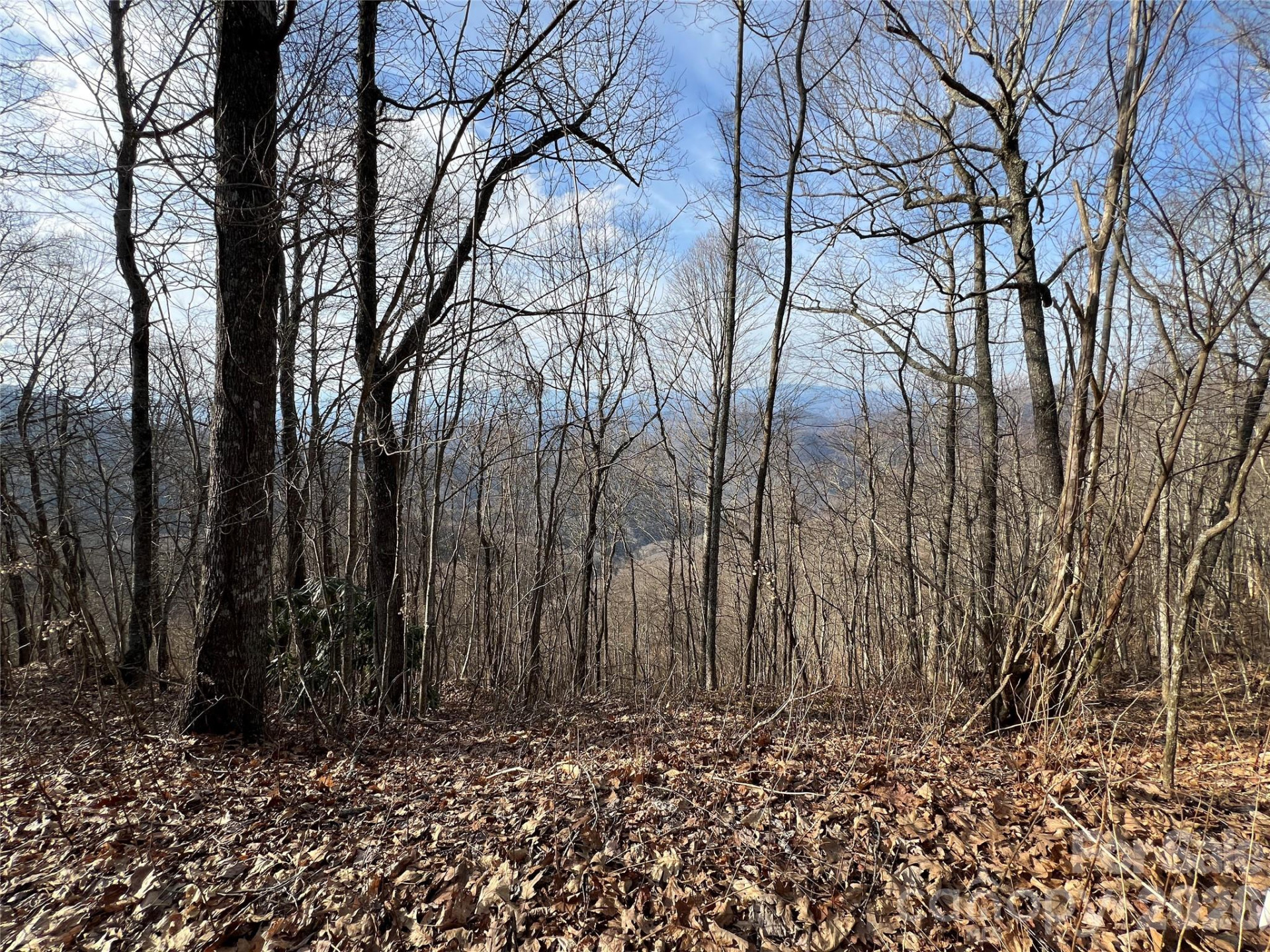 24/26 Butterfly Path #24/26 - Photo 3