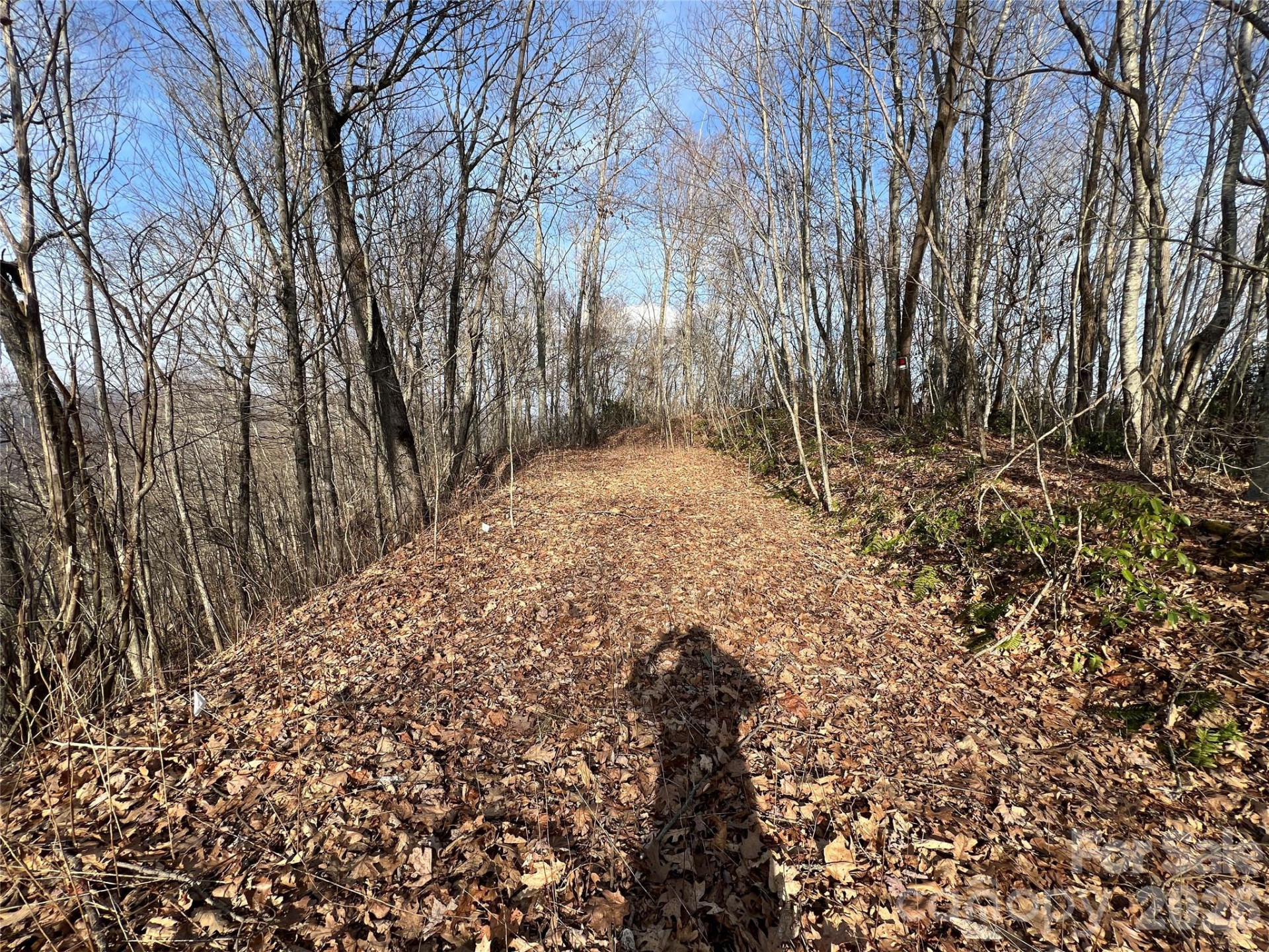 24/26 Butterfly Path #24/26 - Photo 4