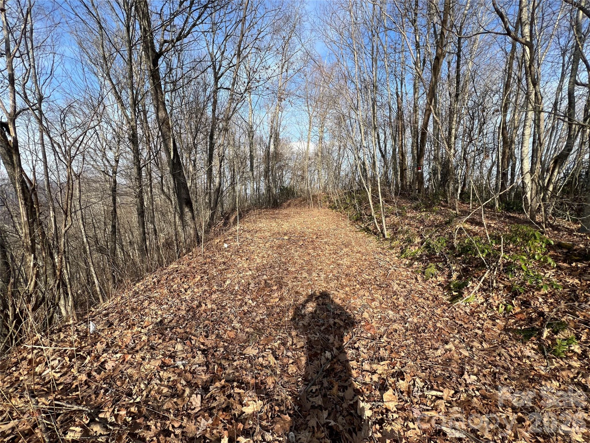 Lot 24/26 Butterfly Path #24/26 - Photo 4