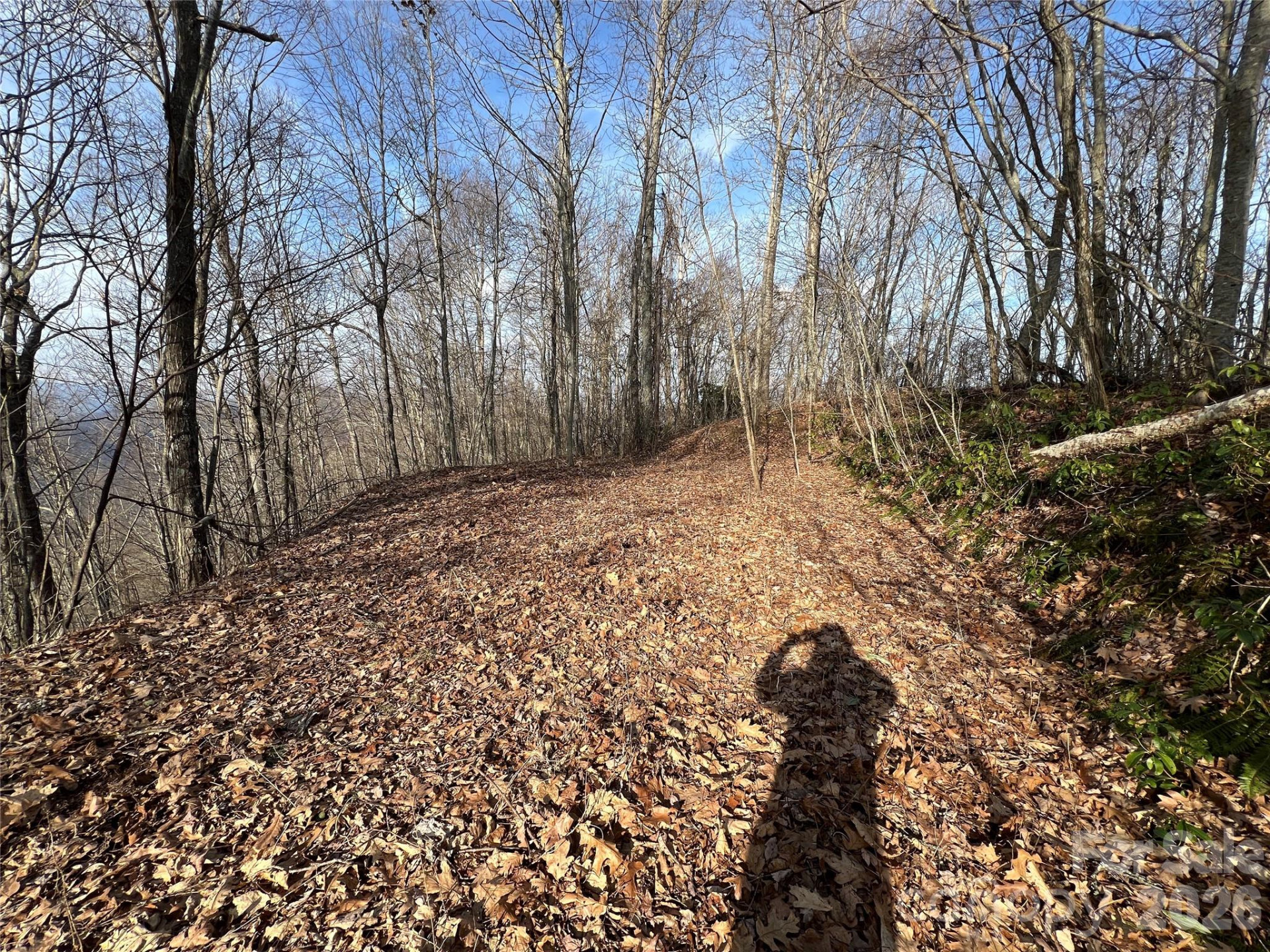 24/26 Butterfly Path #24/26 - Photo 5