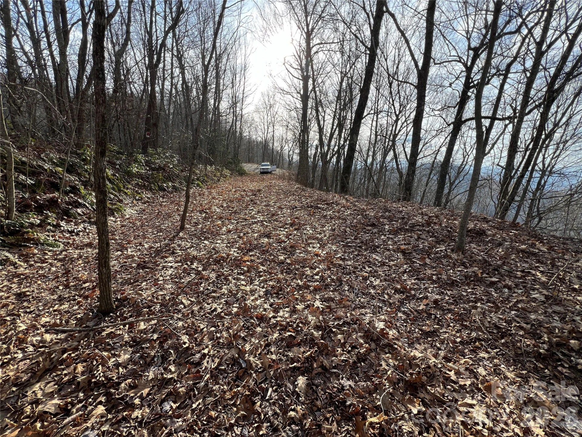 Lot 24/26 Butterfly Path #24/26 - Photo 6