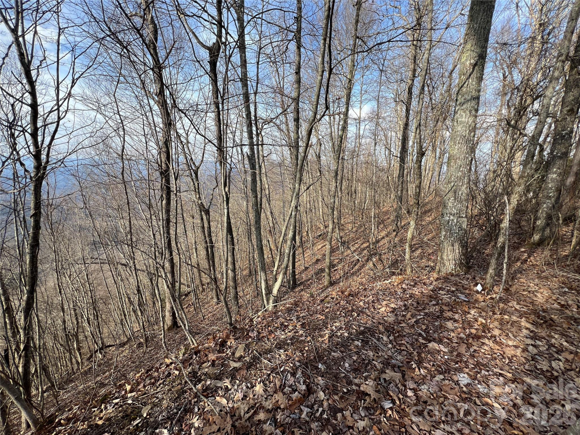 24/26 Butterfly Path #24/26 - Photo 7