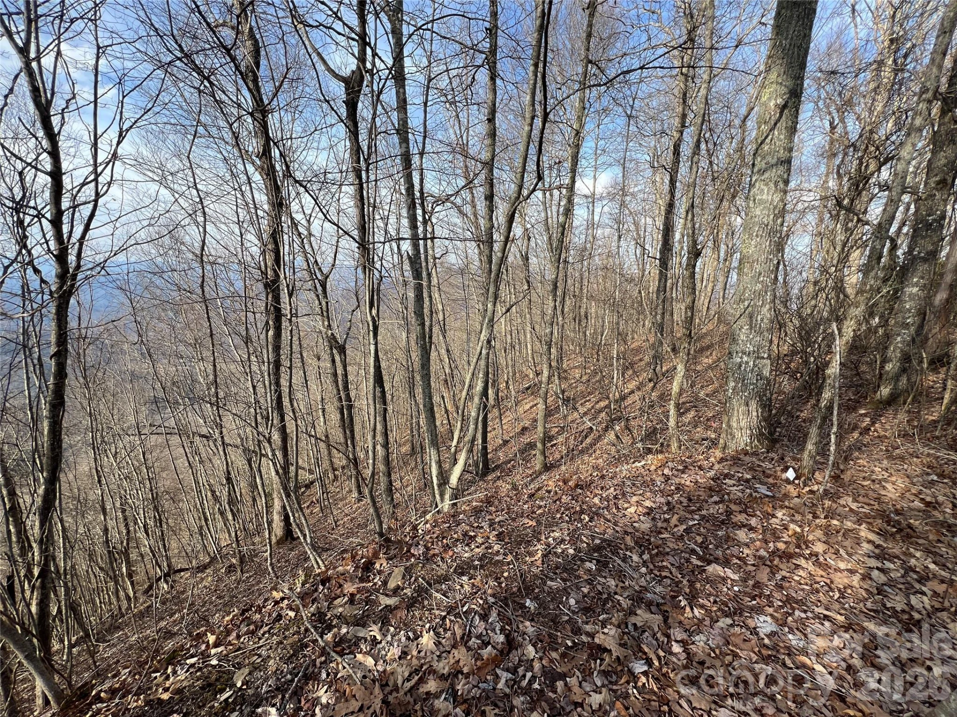 Lot 24/26 Butterfly Path #24/26 - Photo 7
