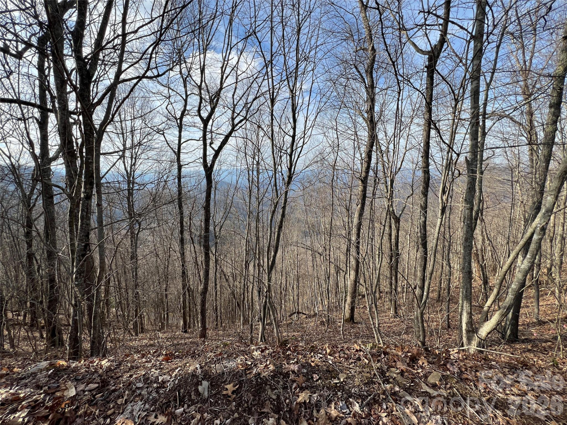 24/26 Butterfly Path #24/26 - Photo 8