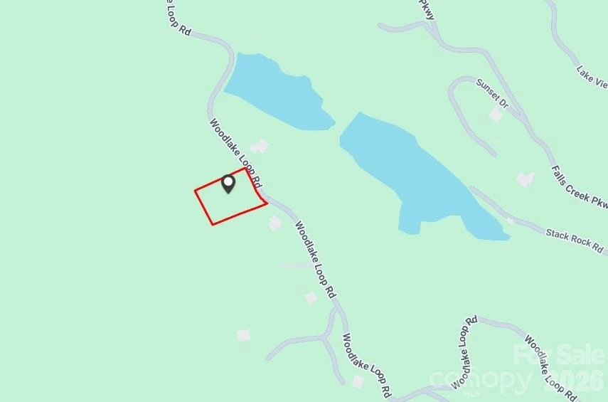 0000 Woodlake Loop Road - Photo 2