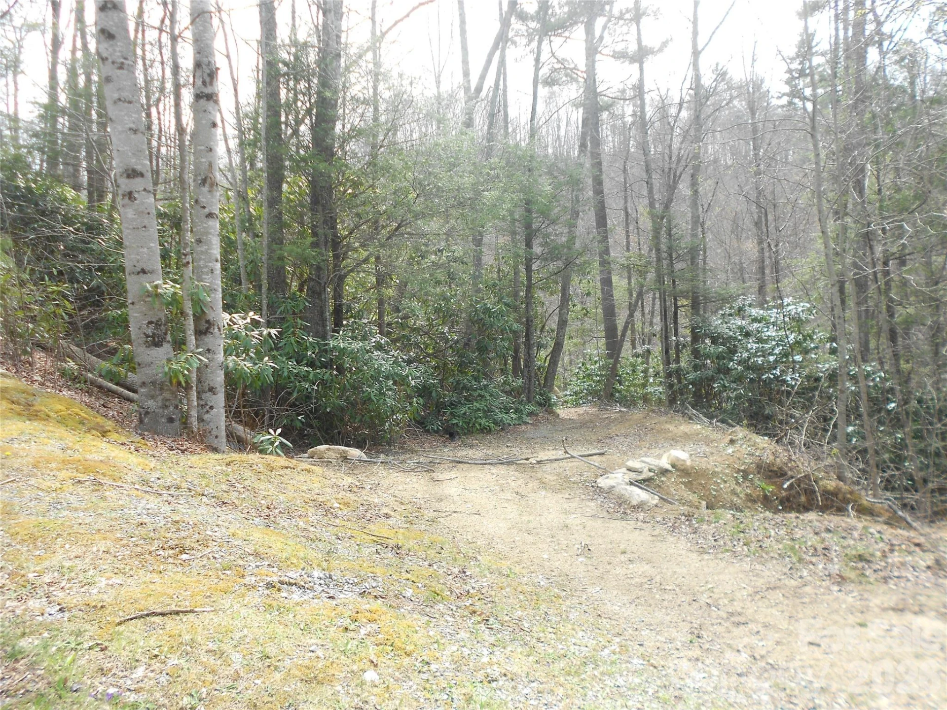 0000 Woodlake Loop Road - Photo 19