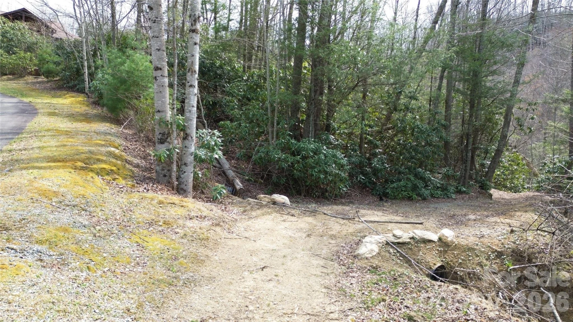 0000 Woodlake Loop Road - Photo 3