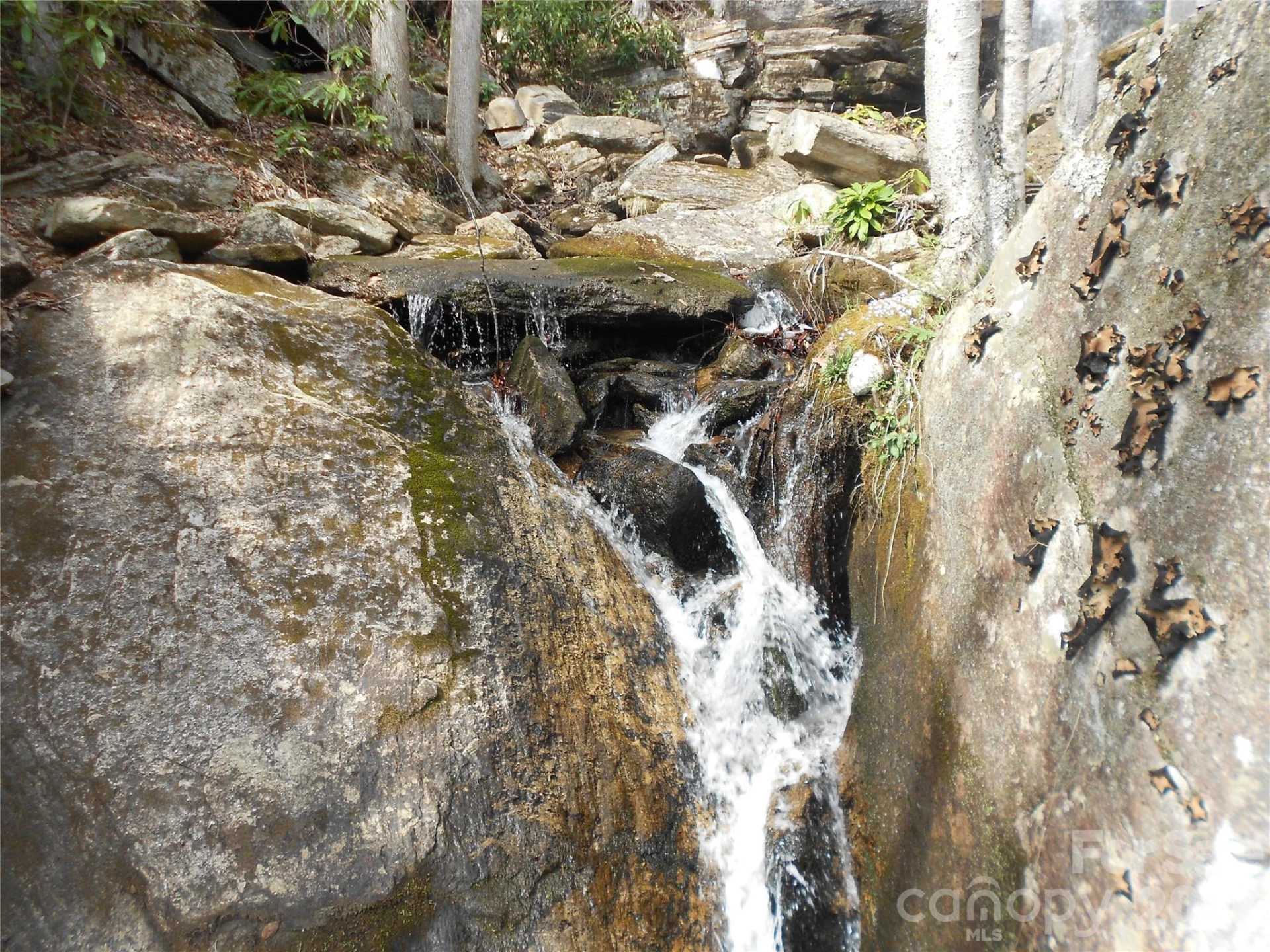 0000 Woodlake Loop Road - Photo 28