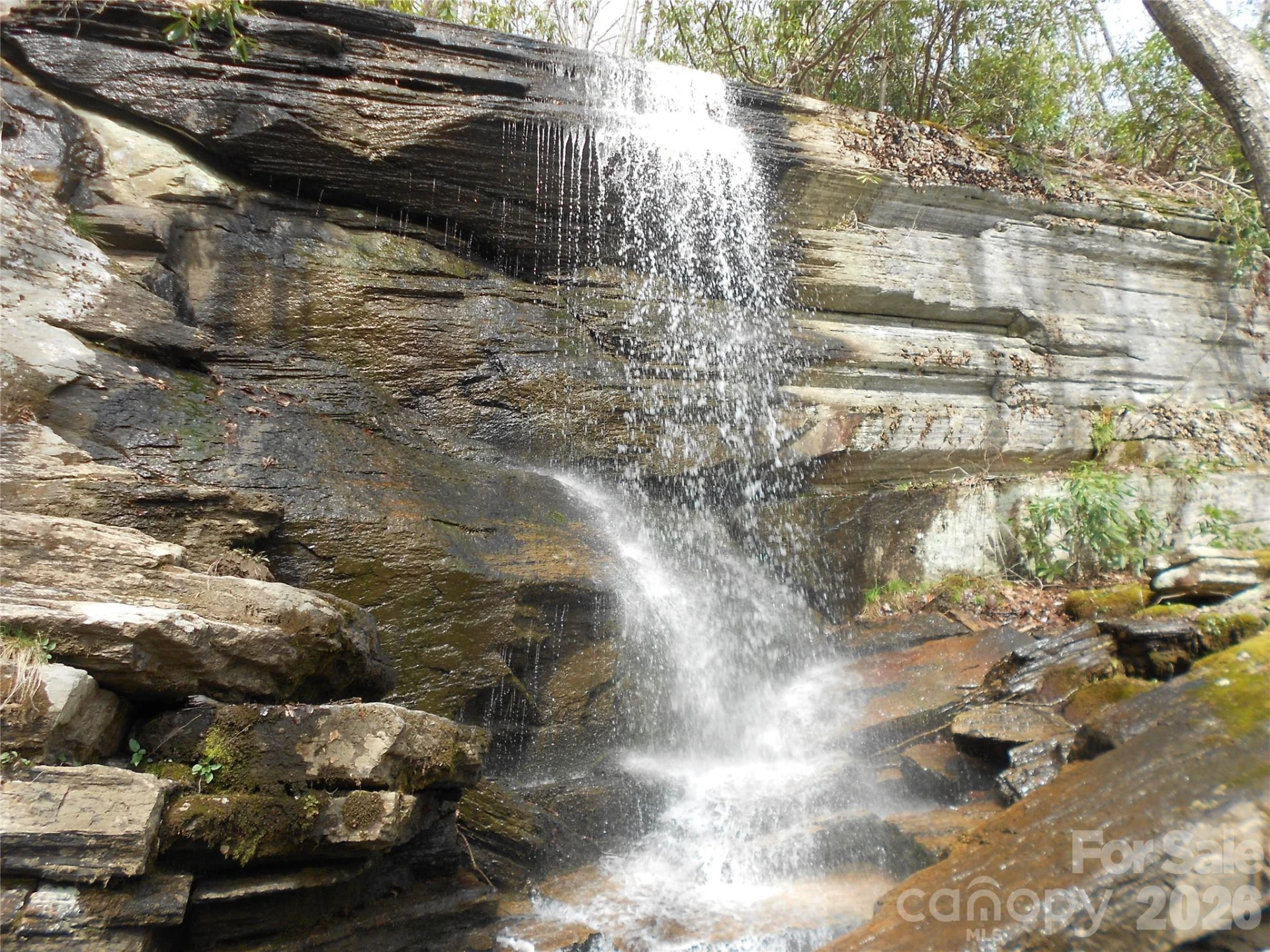 0000 Woodlake Loop Road - Photo 29