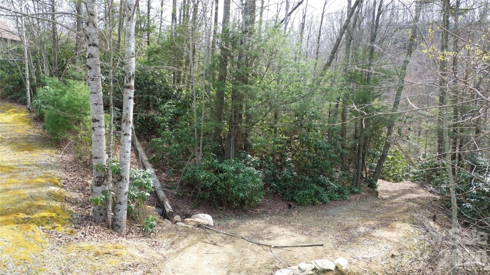 0000 Woodlake Loop Road - Photo 4