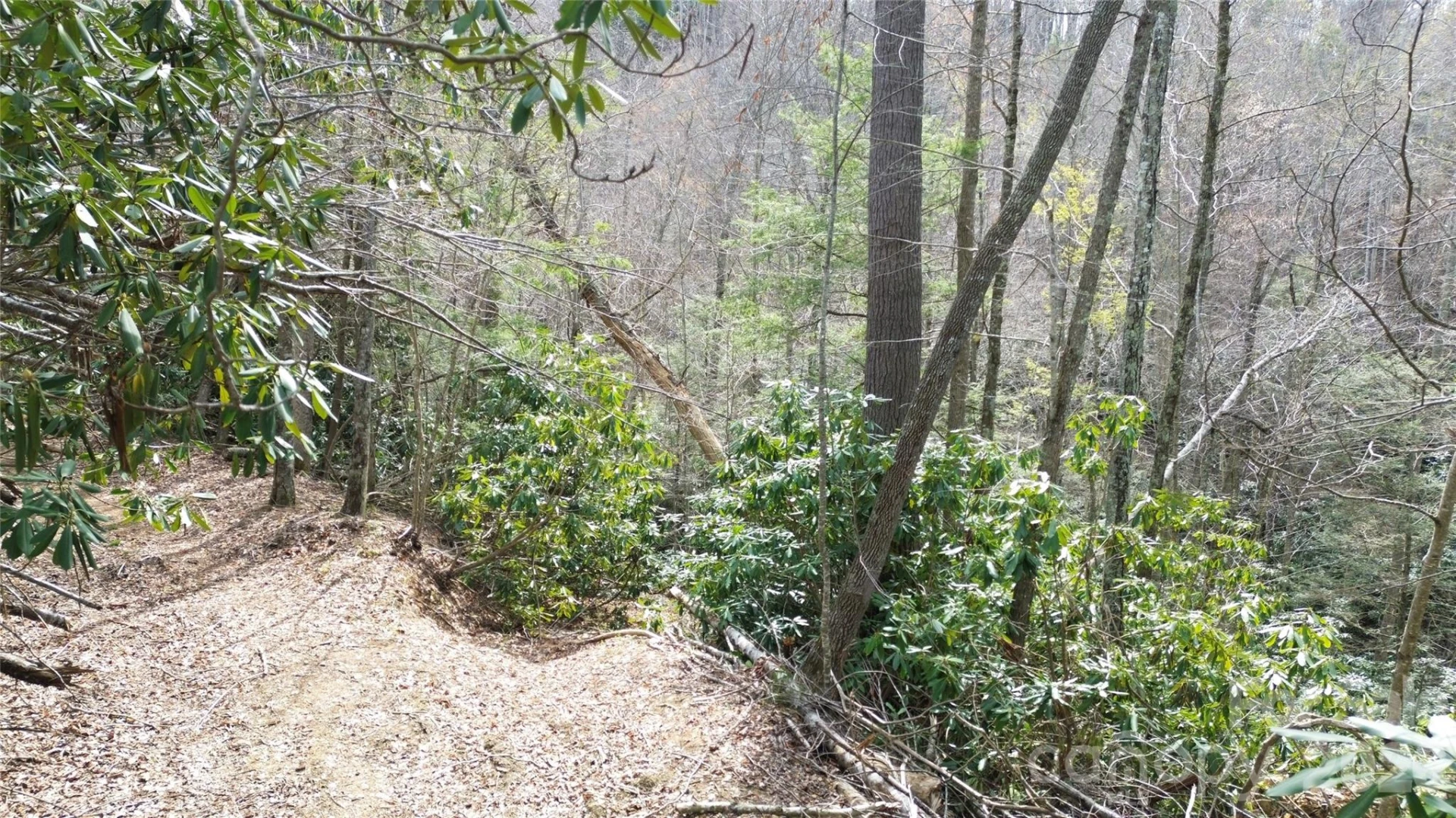 0000 Woodlake Loop Road - Photo 5