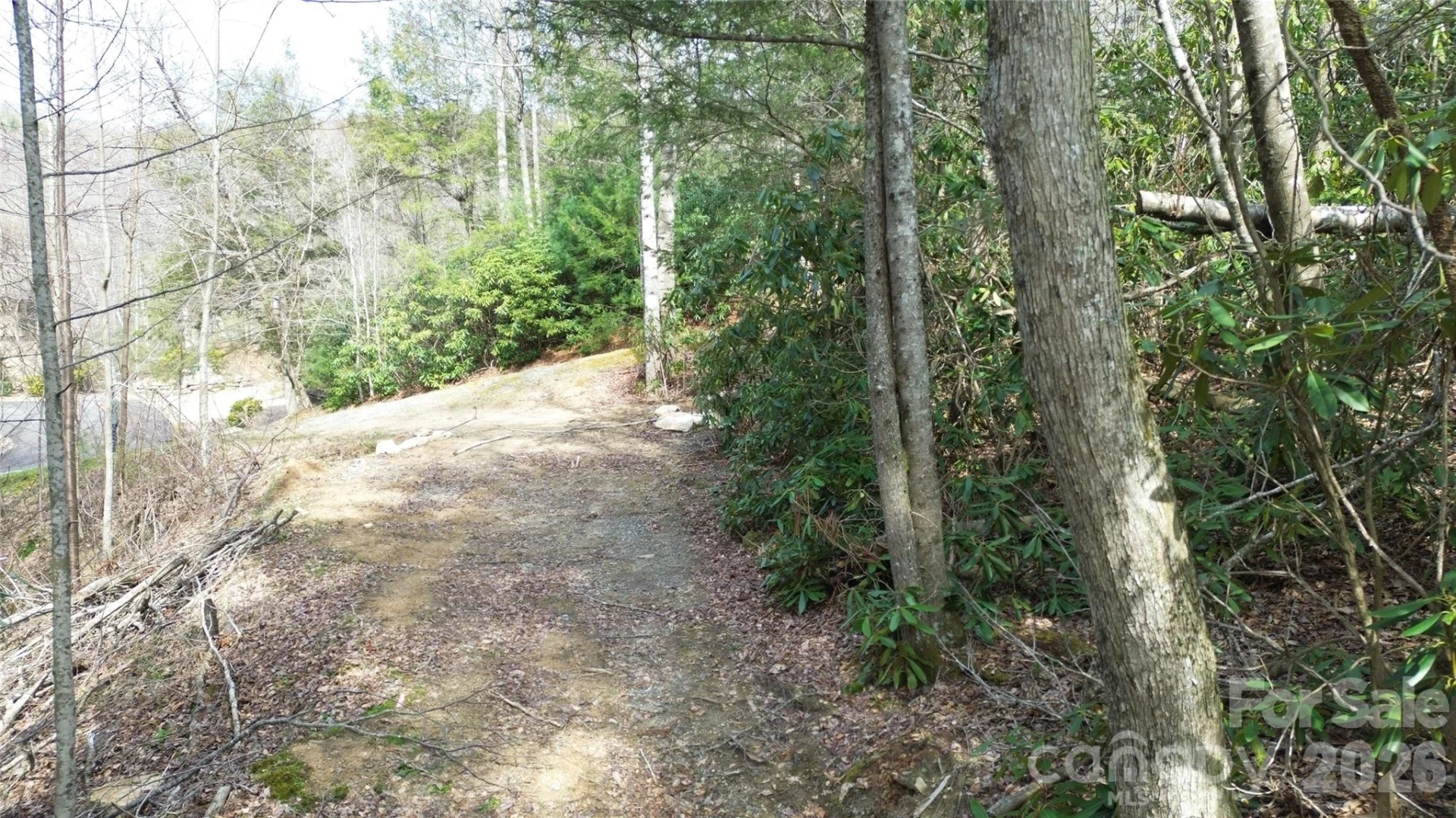 0000 Woodlake Loop Road - Photo 7