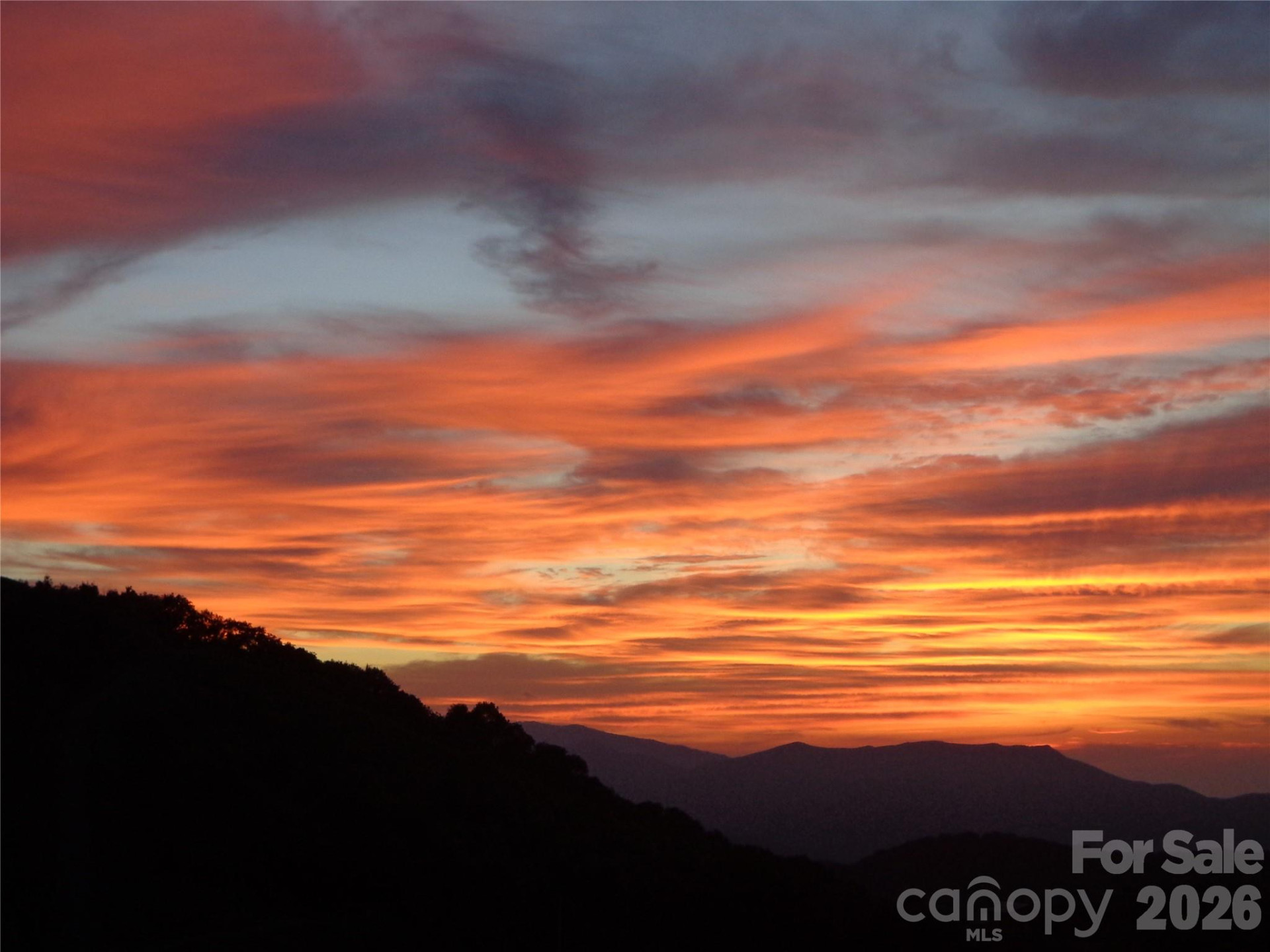 1007 Turkey Trot Road - Photo 3