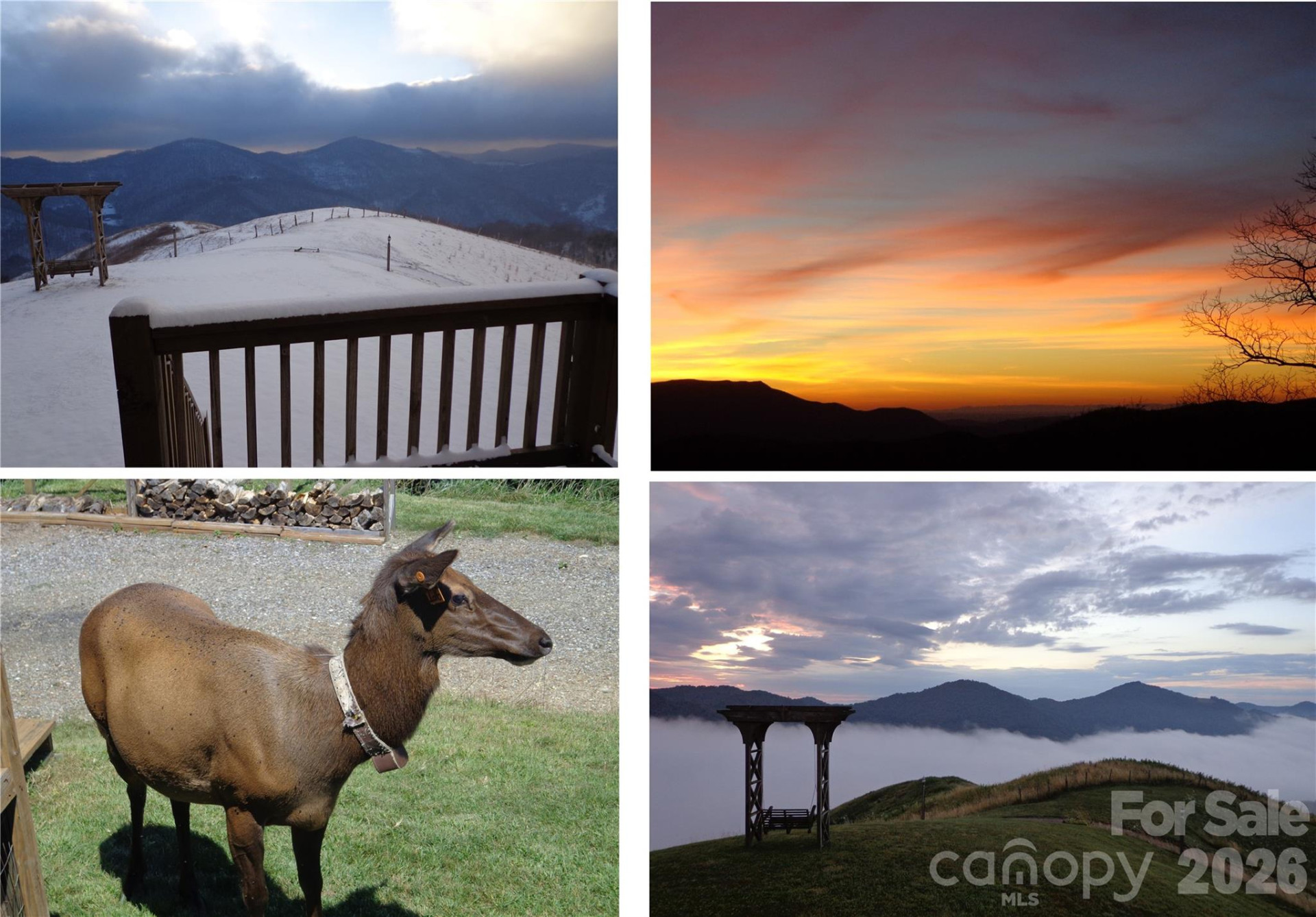 1007 Turkey Trot Road - Photo 7