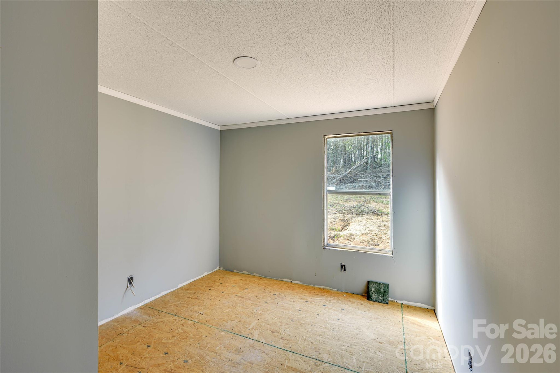 143 Forest View Lane - Photo 15