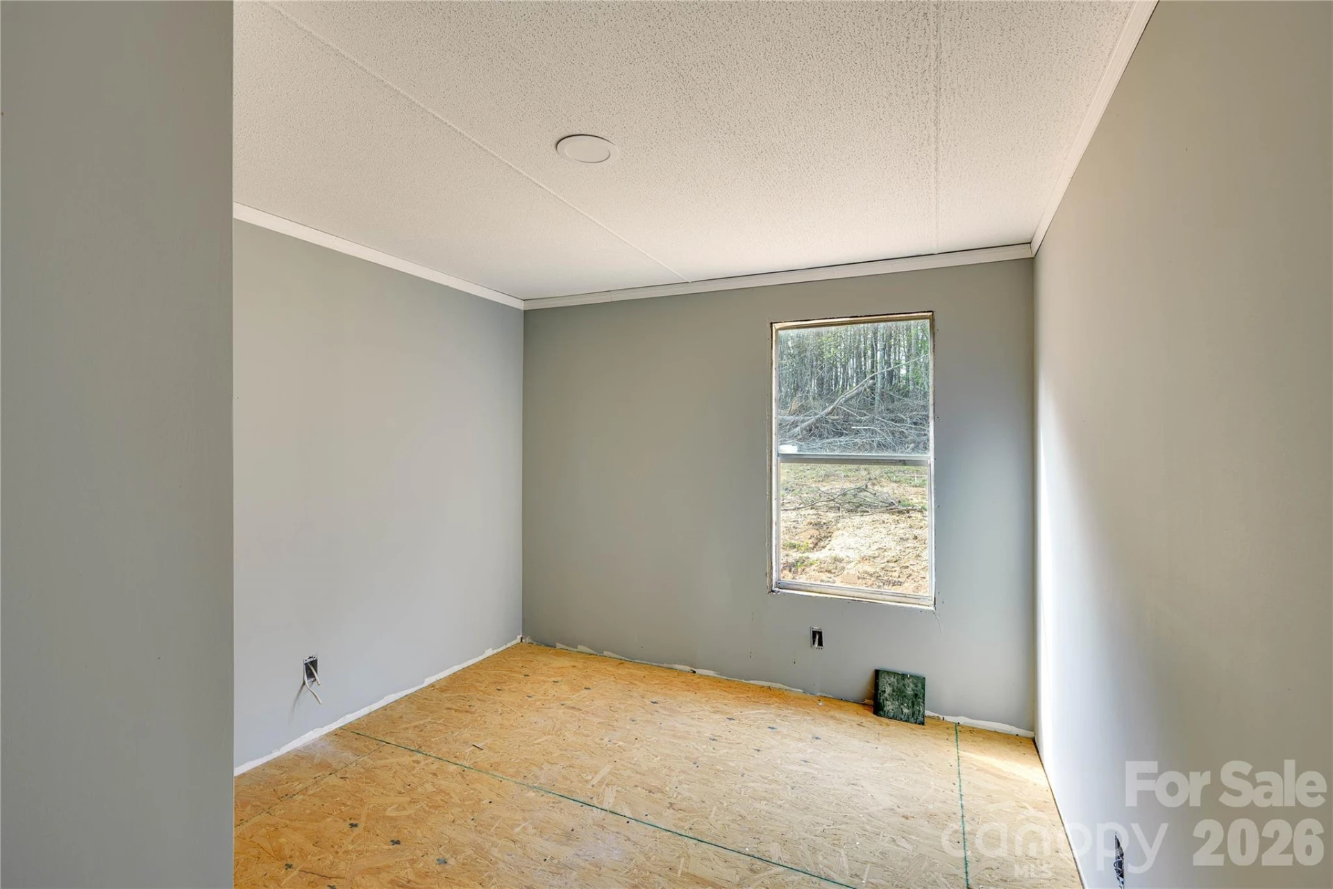 143 Forest View Lane - Photo 15