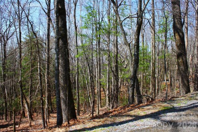 0000 Slick Rock Road, Brevard, NC, 28712