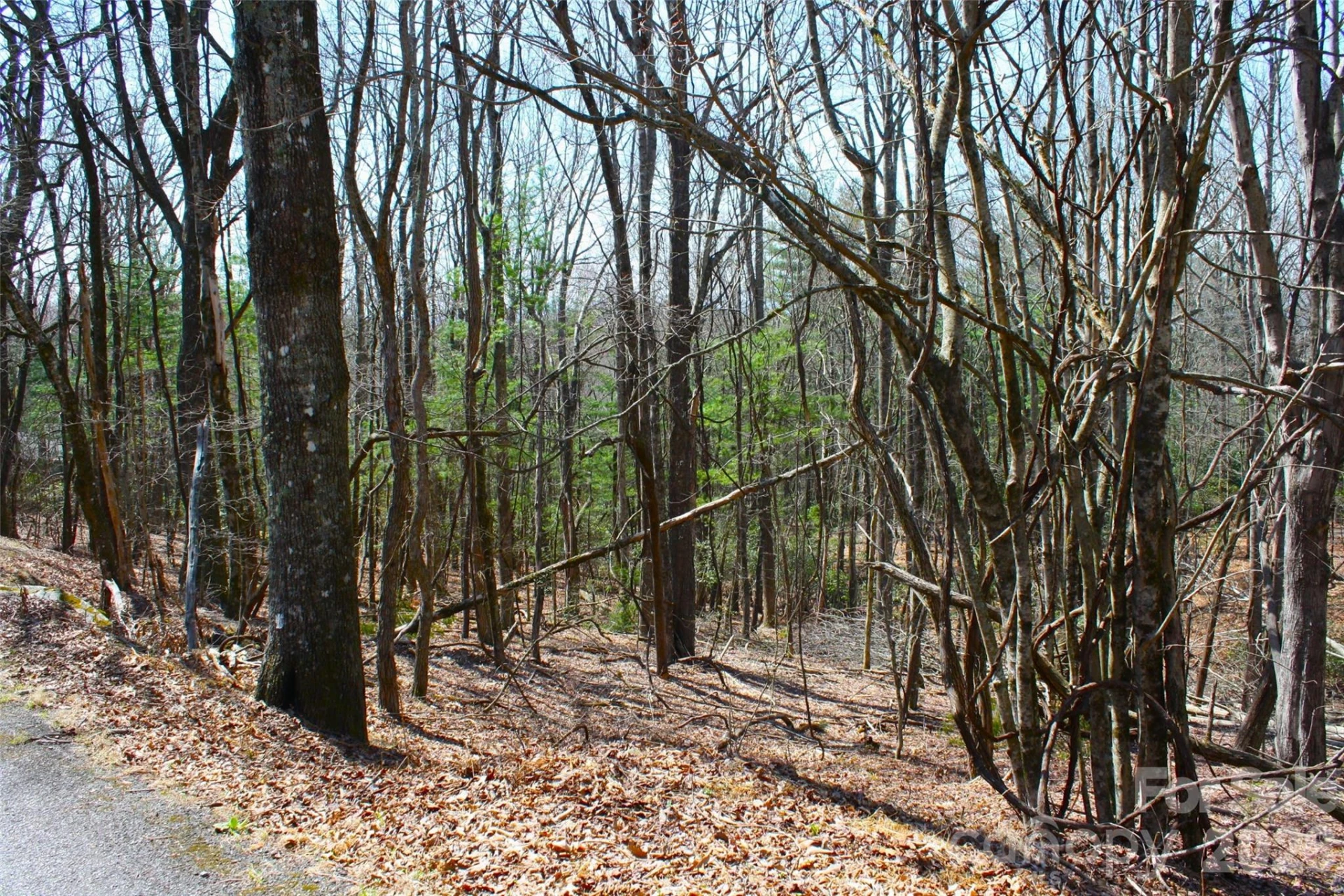 0000 Slick Rock Road - Photo 2