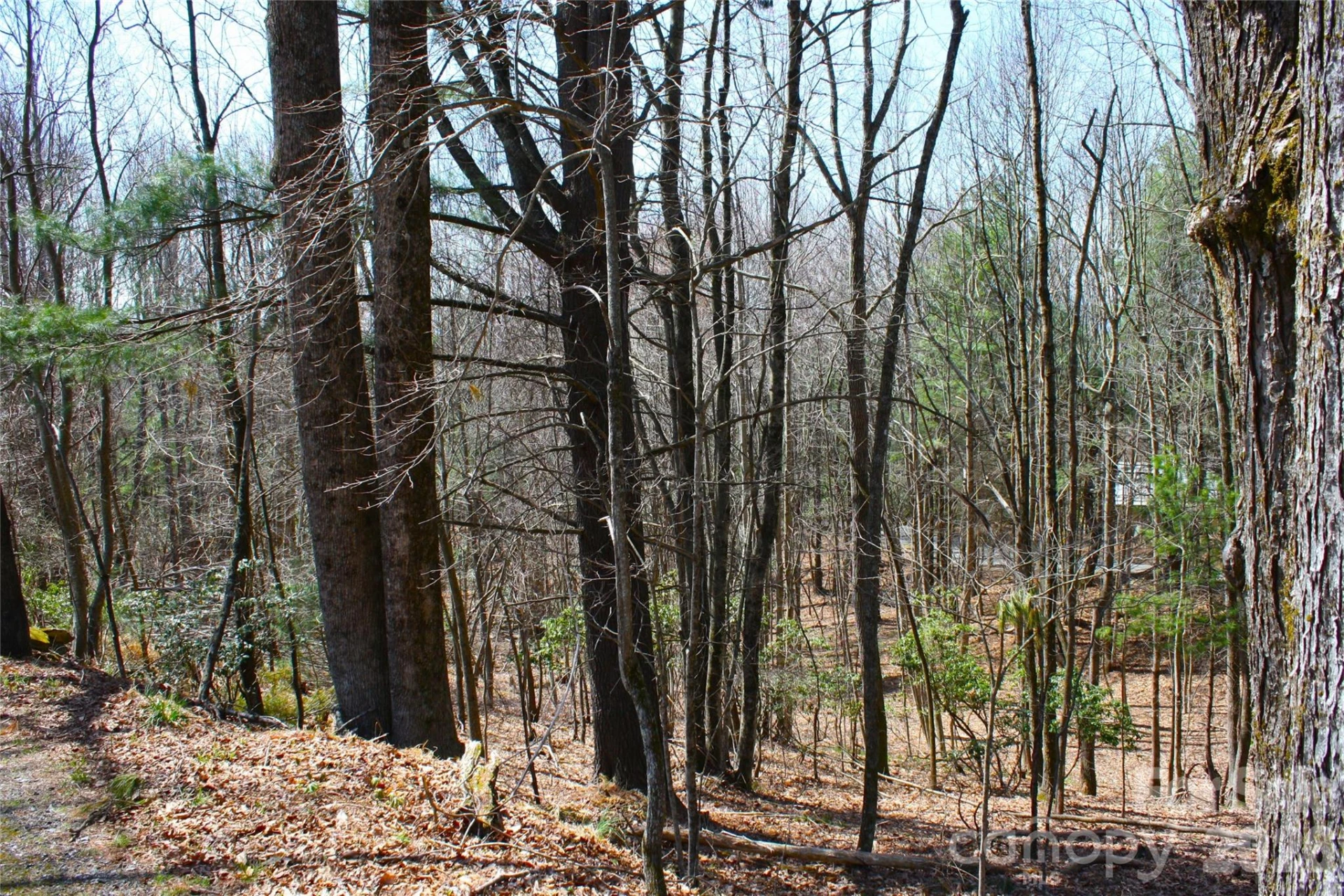 0000 Slick Rock Road - Photo 3