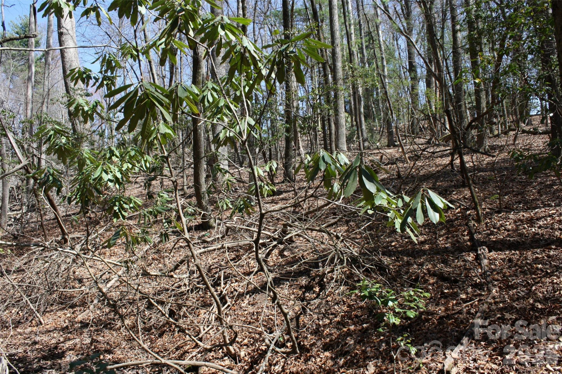 0000 Slick Rock Road - Photo 4