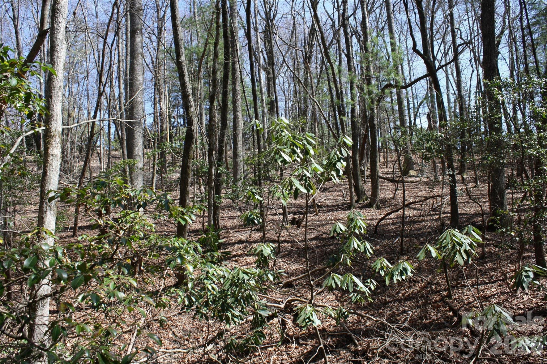 0000 Slick Rock Road - Photo 5