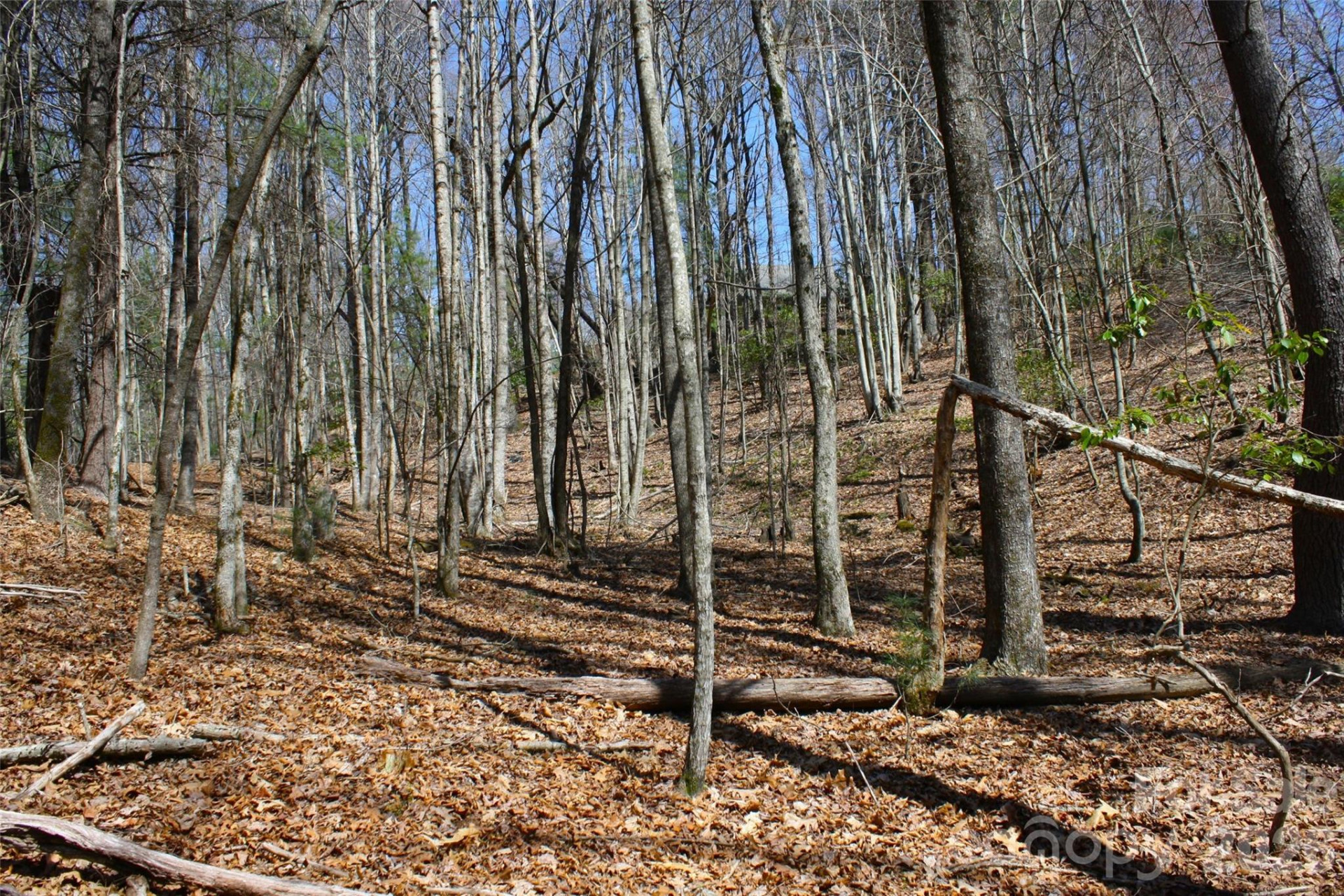 0000 Slick Rock Road - Photo 6