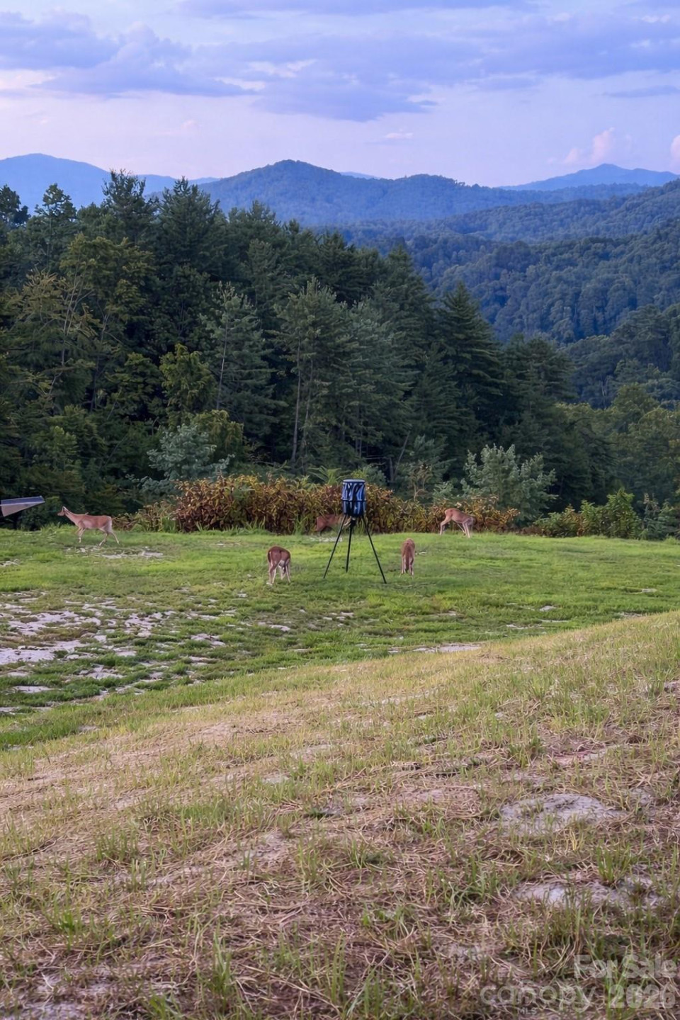 4530 Double Island Road - Photo 42