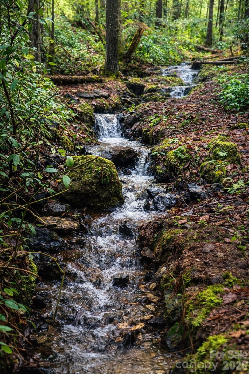 4530 Double Island Road - Photo 43