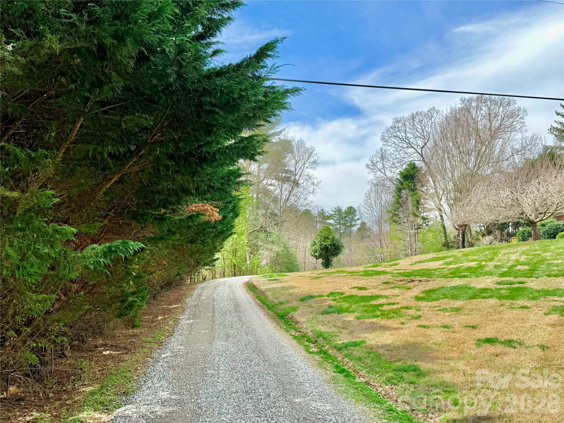 2573 Dogwood Vista - Photo 44