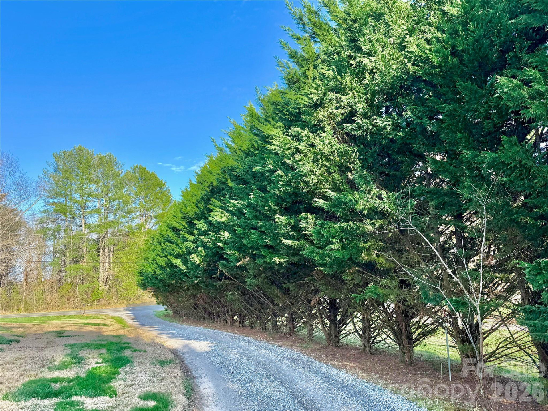 2573 Dogwood Vista - Photo 45