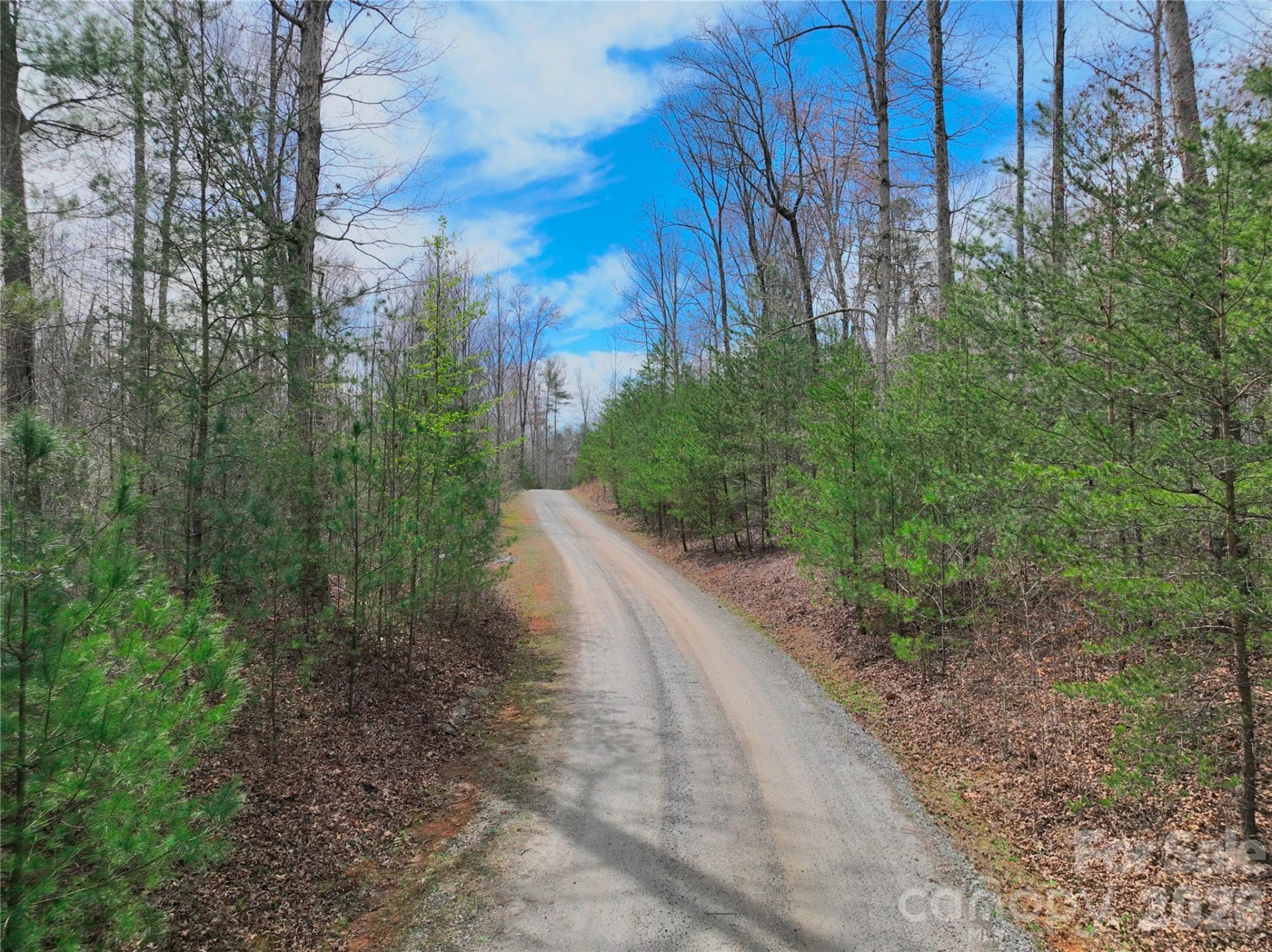 2573 Dogwood Vista - Photo 46