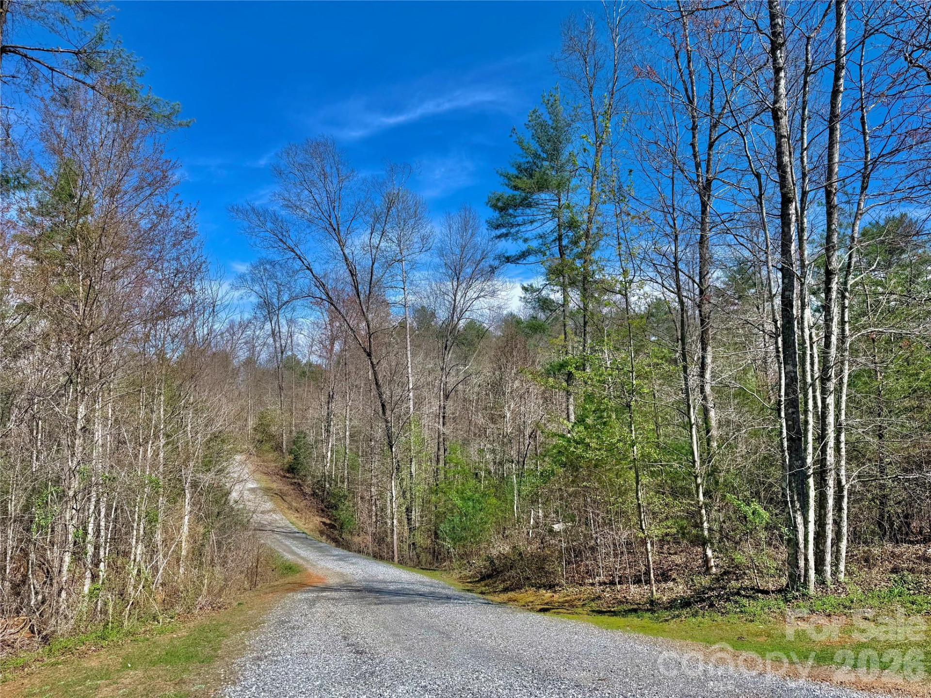 2573 Dogwood Vista - Photo 47