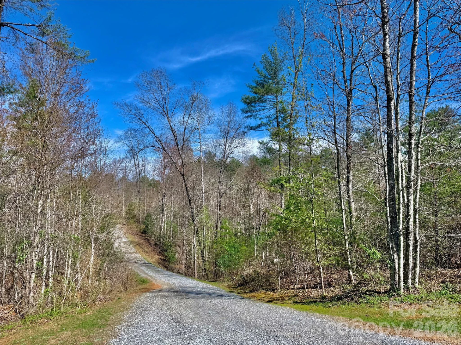 2573 Dogwood Vista - Photo 47