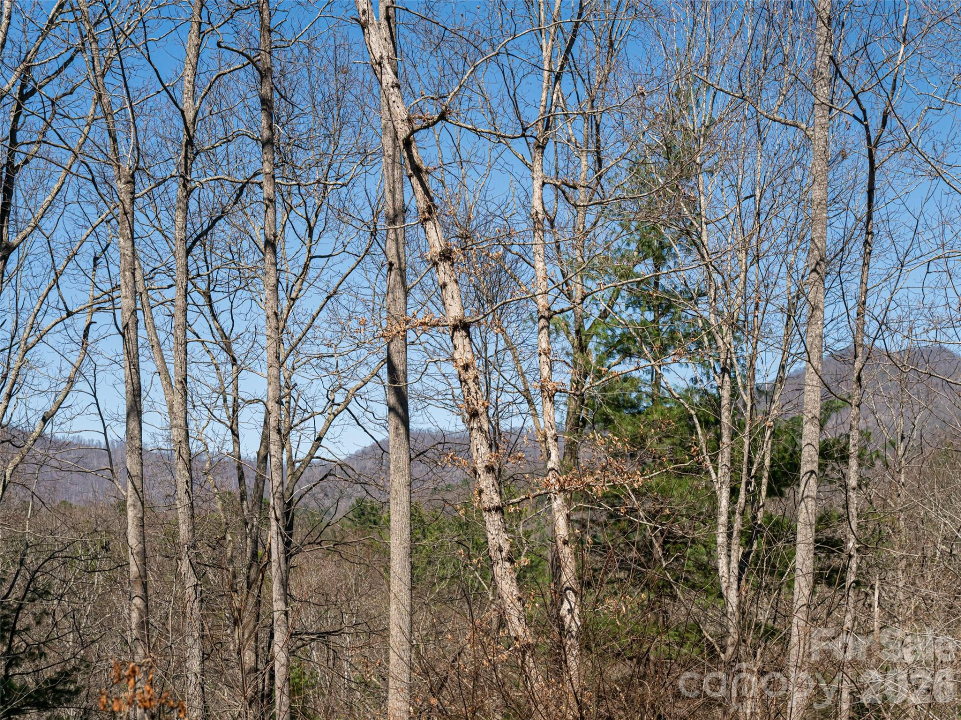 39 Oak Hollow Drive #23 - Photo 42