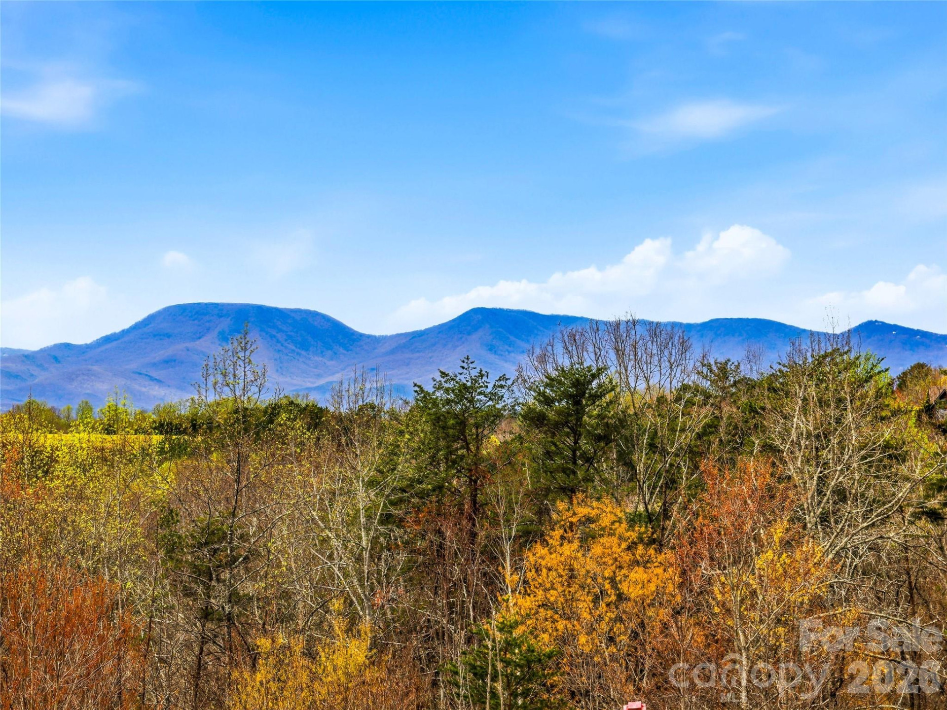 286 Preservation Trail - Photo 2