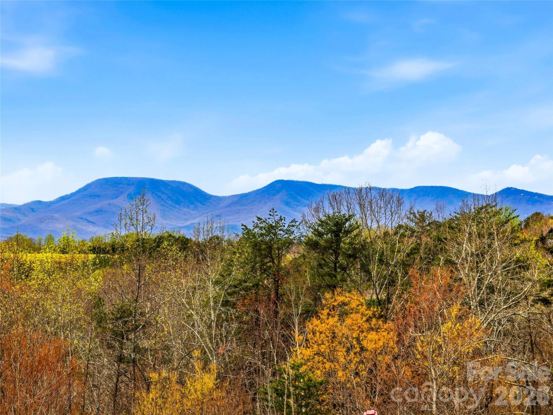 286 Preservation Trail - Photo 2