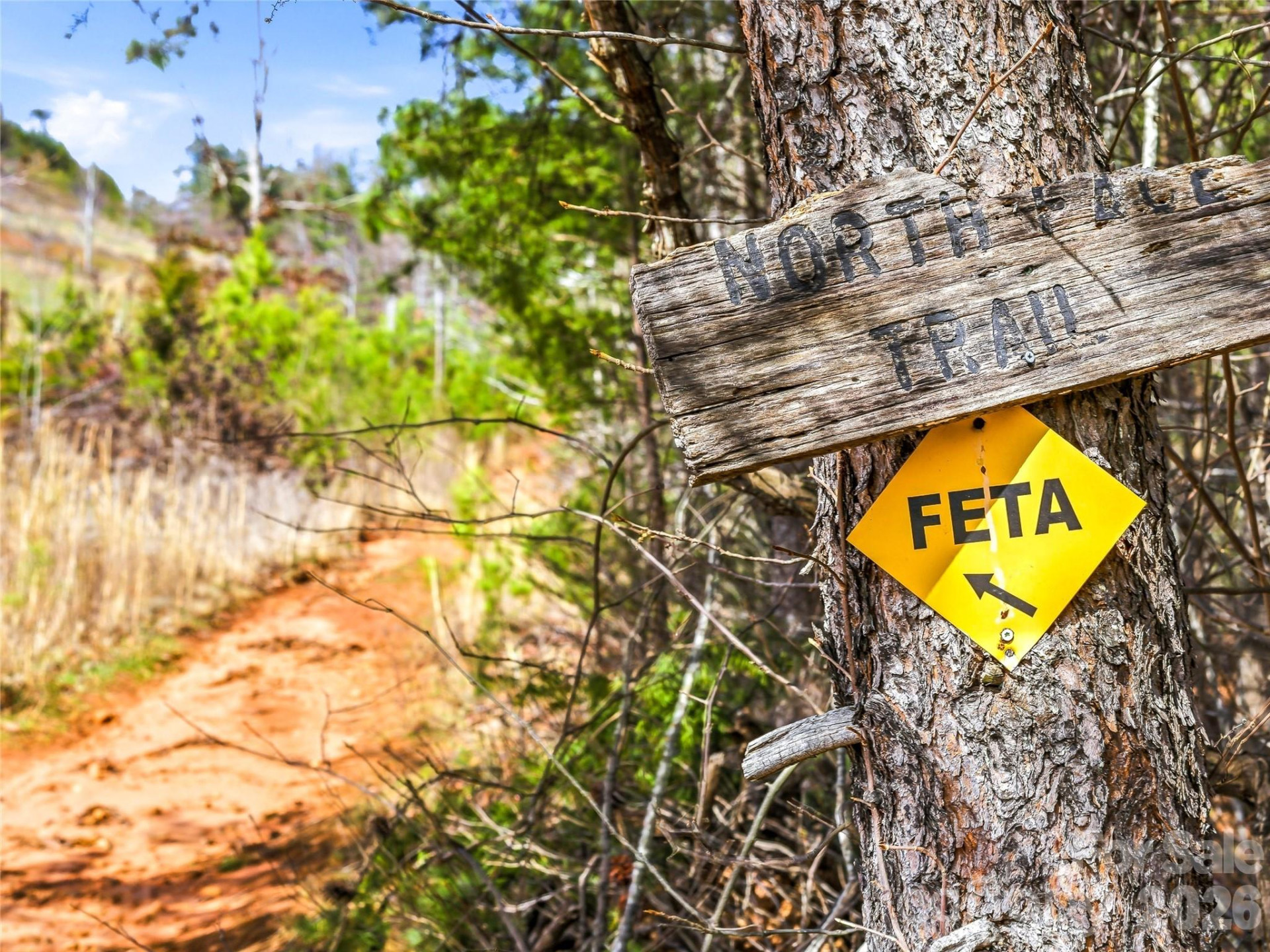 286 Preservation Trail - Photo 8