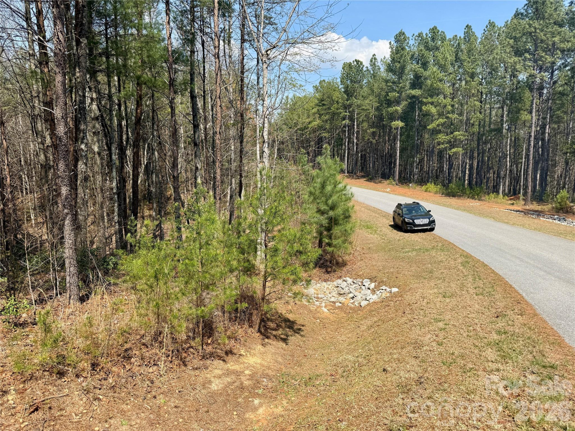 2494 Ivy Rays Way #41 - Photo 14