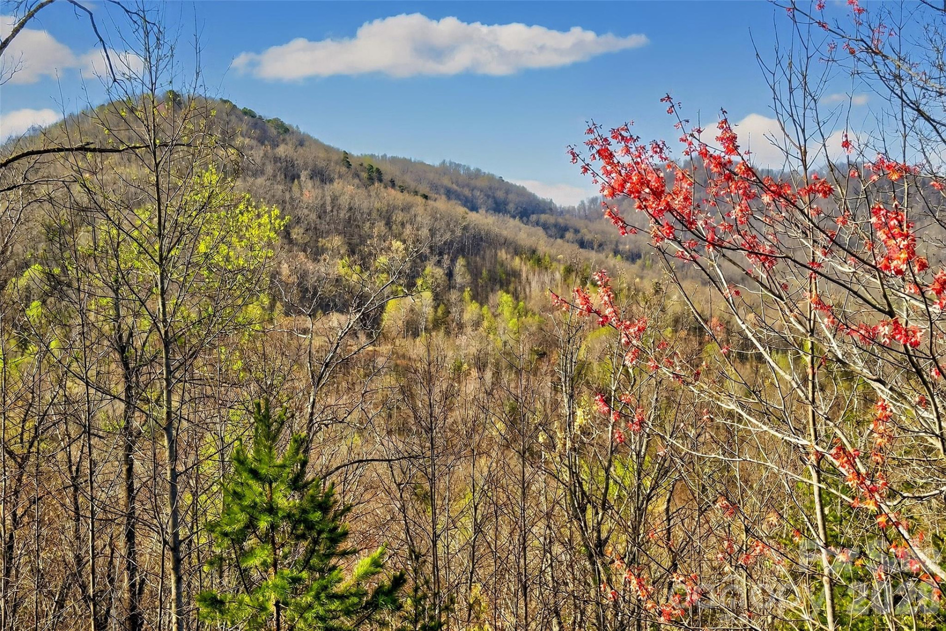 398 Waterfall Drive - Photo 40